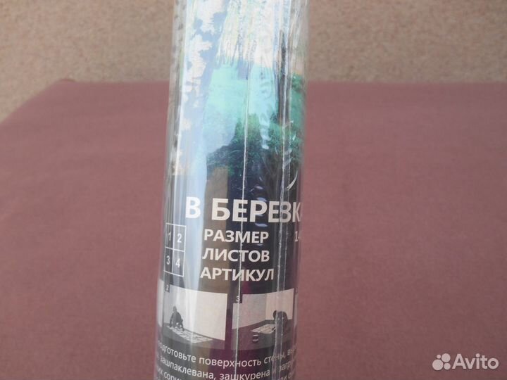 Фотообои (берёзки)