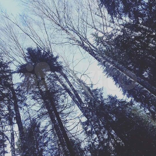 Участок 7 сот. (ИЖС)