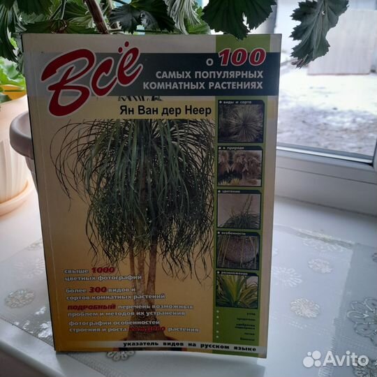 Все о 100 самых популярных комнатных растениях