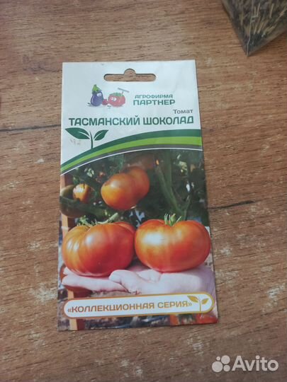 Рассада томатов