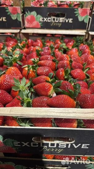 Клубника свежая с доставкой