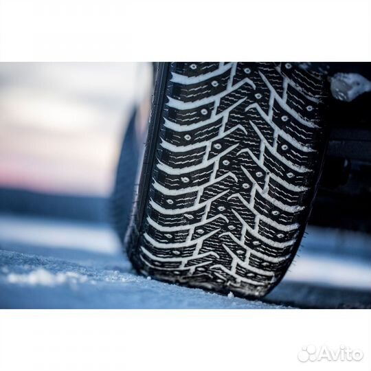 Nokian Tyres Nordman 8 SUV 265/50 R19 110T