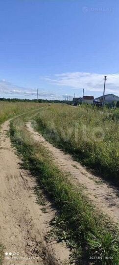 Участок 25 сот. (ИЖС)