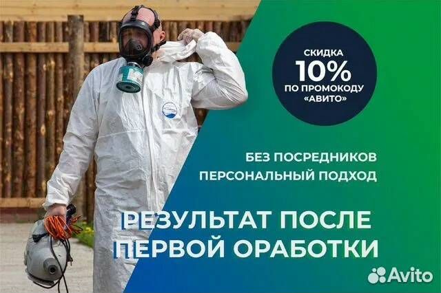 Удаление плесени и грибка, дезинфекция