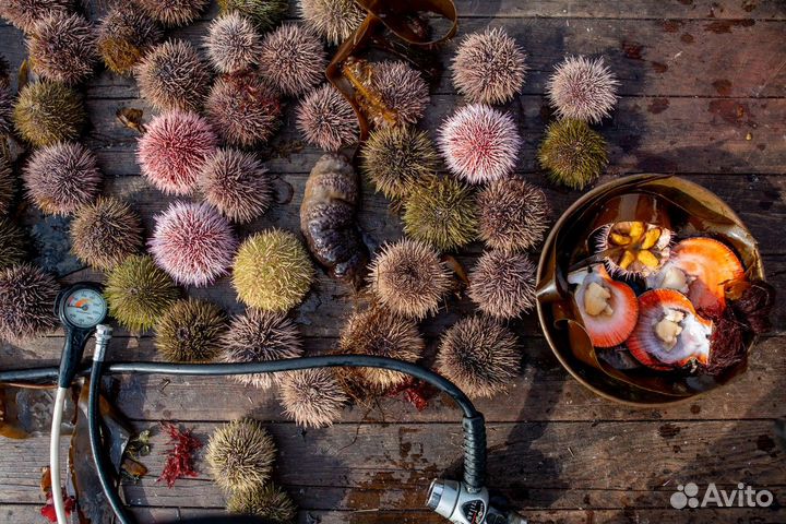 Мурманск Топ-Экскурсия Знакомство с Мурманском в м