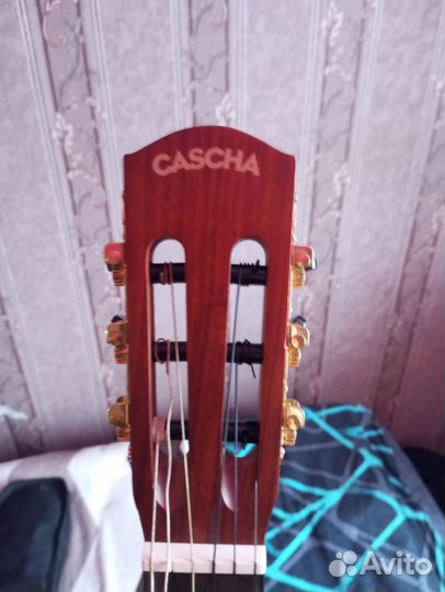 Гитара классическая cascha
