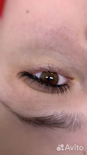 Наращивание ресниц модель