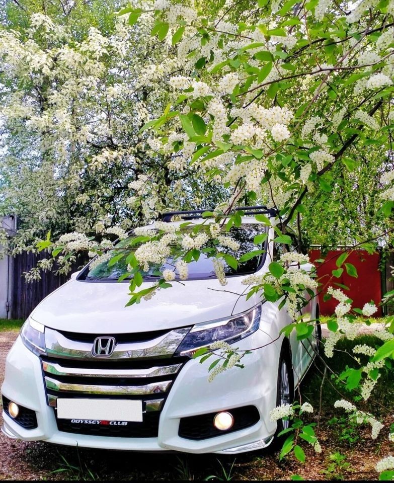 Honda Freed: фото владельца
