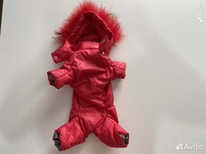 Одежда для собак