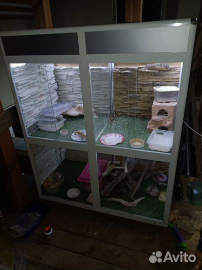 Террариум для эублефара