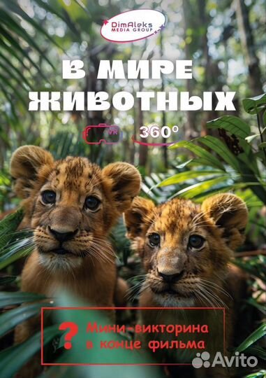 Продам готовый бизнес с очками VR