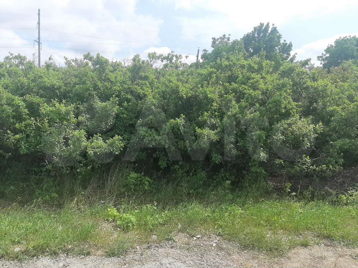 Участок 6,2 сот. (СНТ, ДНП)