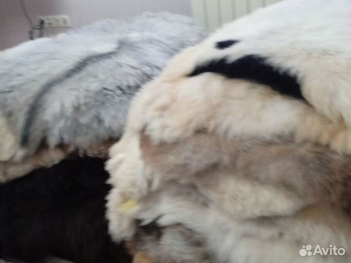 Шкурки овцы