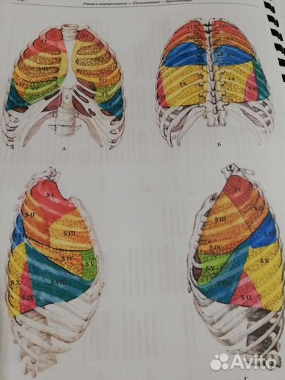 Атлас Анатомии Человека Синельников, 4 тома