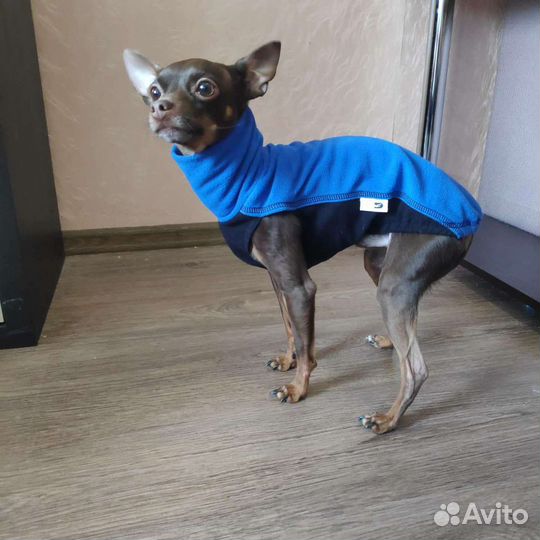 Кофты для собак