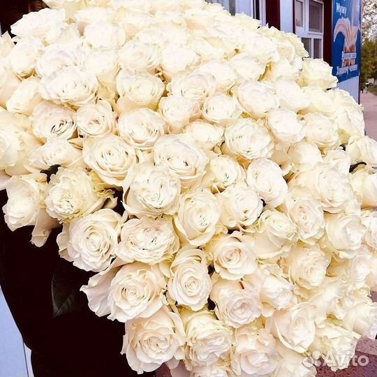 Высокие розы Гигантские розы Доставка цветов