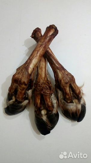 Сушеные лакомства для собак