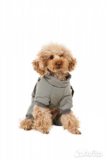 Комбинезон демисезонный