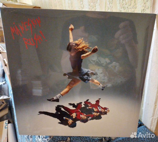 Maneskin rush LP