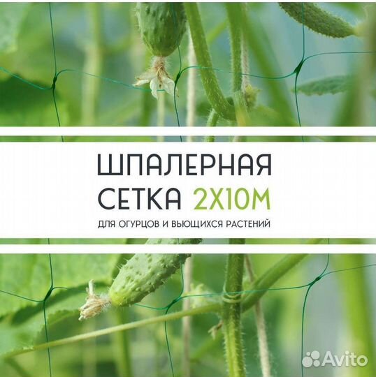 Шпалерная сетка 2х10