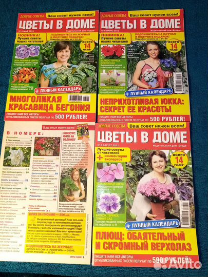 Цветы в доме. 2011 г