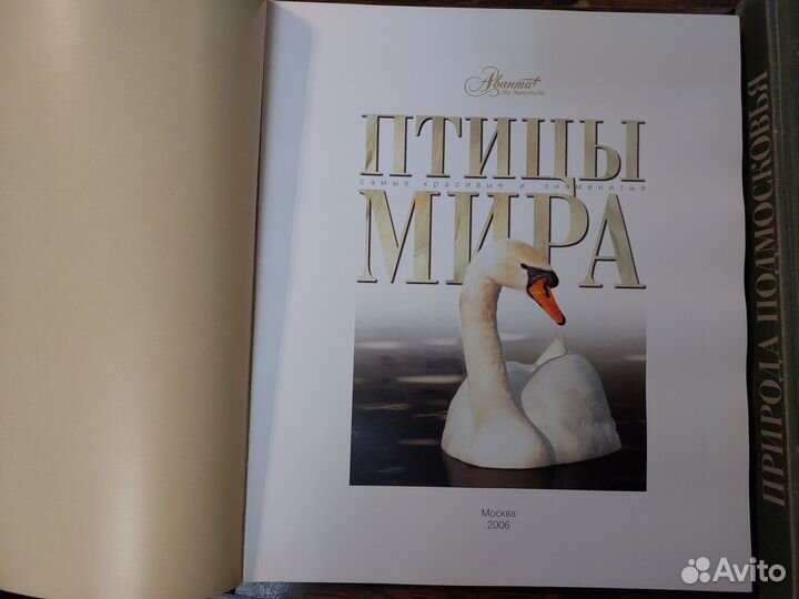 Книга птицы мира