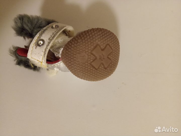 Ботинки для маленькой собаки