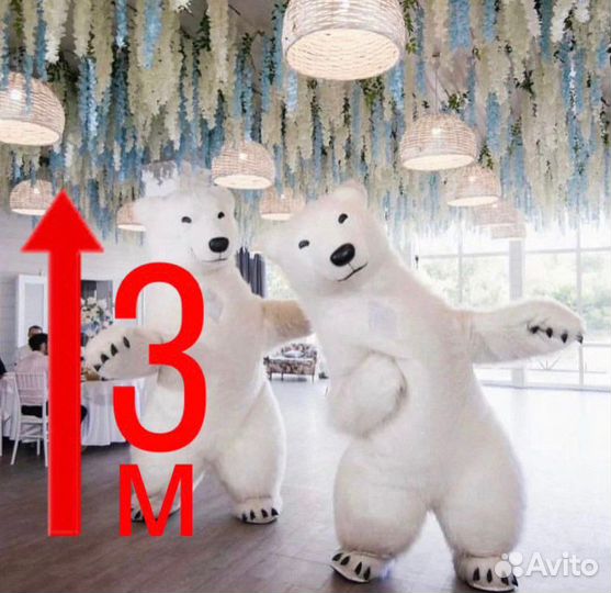 Поздравление от Белого Медведя