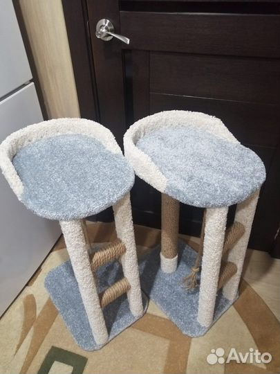 Когтеточка