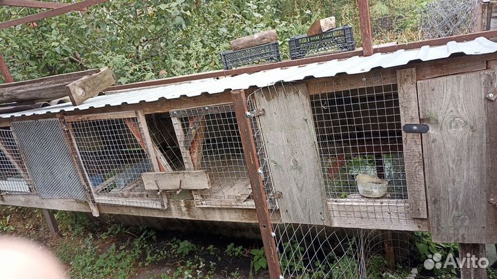 Клетка для кроликов