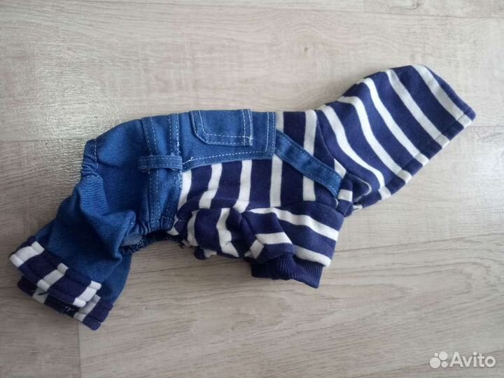 Костюм для собаки