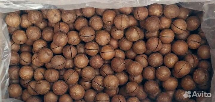 Макадамия орех