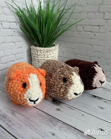 Вязаные морские свинки