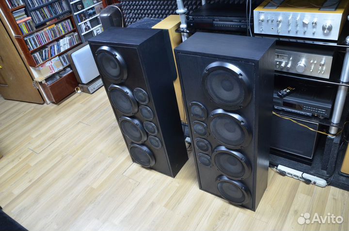 Большие напольные колонки Pioneer (Tonsil)