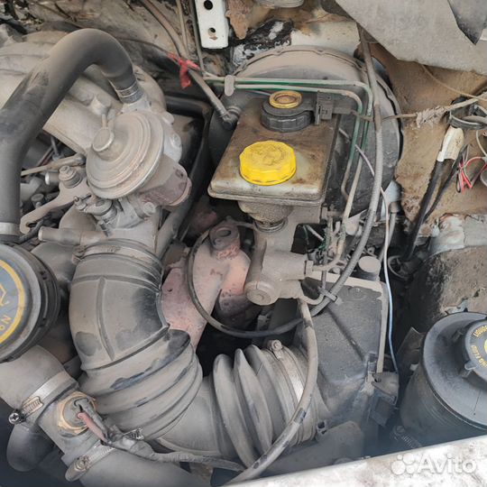 Соболь в разбор