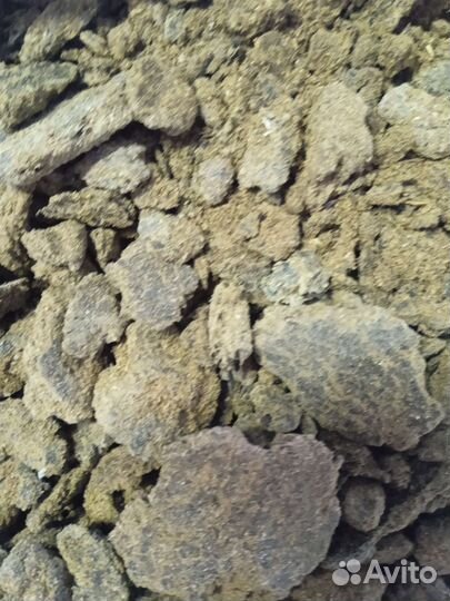 Корм для кур-несушек