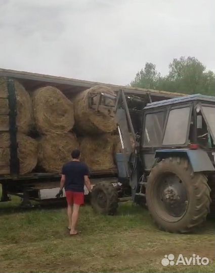 Сено в рулонах