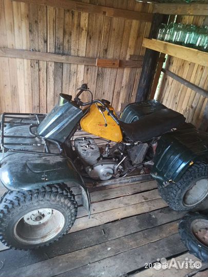 Зид тарпан 200