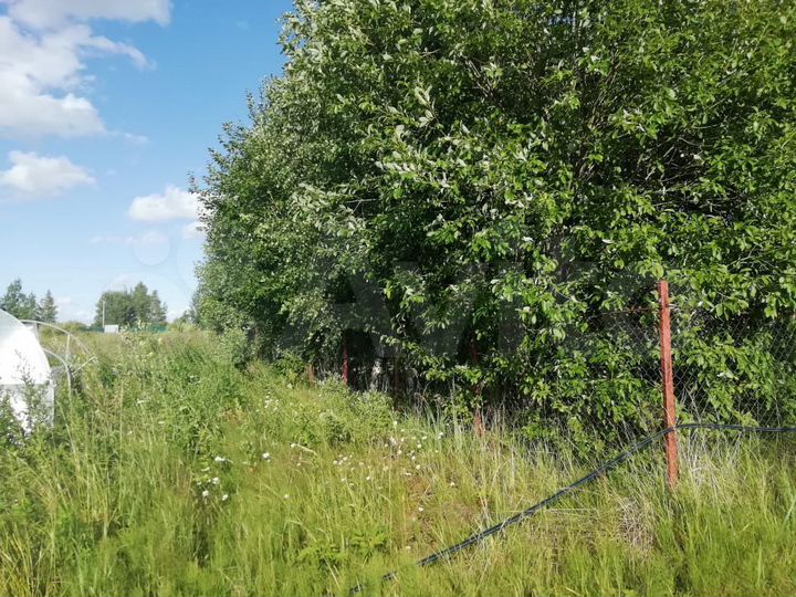 Участок 8,4 сот. (СНТ, ДНП)