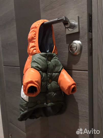 Модная куртка для собак