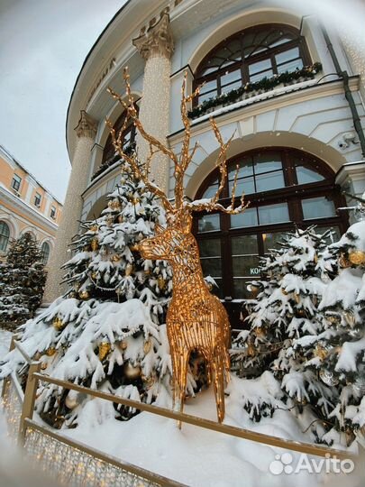 30 дек 23 Ж\Д тур В москву на новый год 1М цо3067