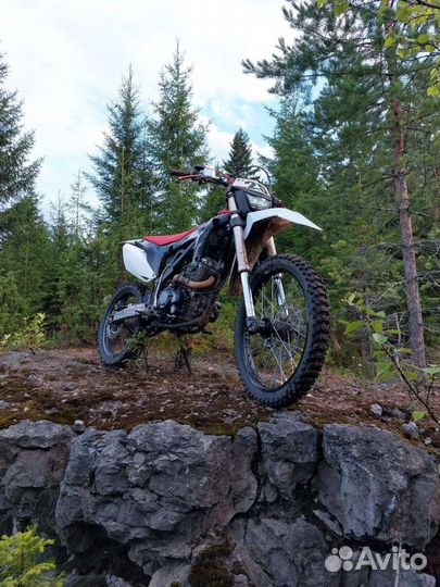 T-Rex 250 pro (Bse Z5)