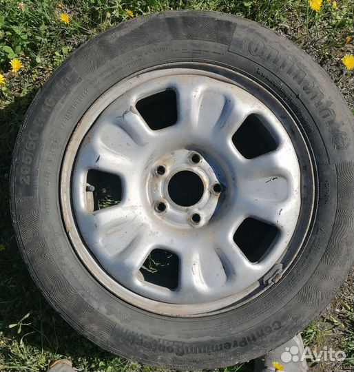 Continental ContiPremiumContact 5 205/60 R16 H