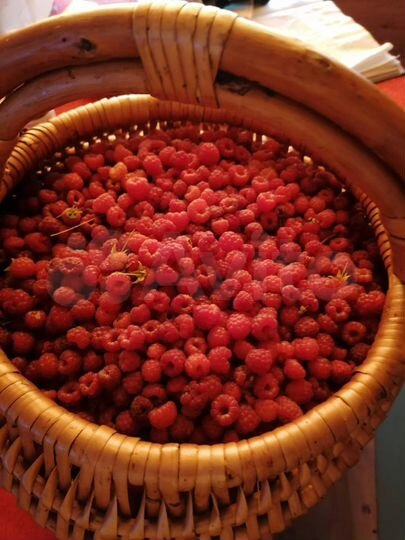 Дом 54 м² на участке 12 сот.