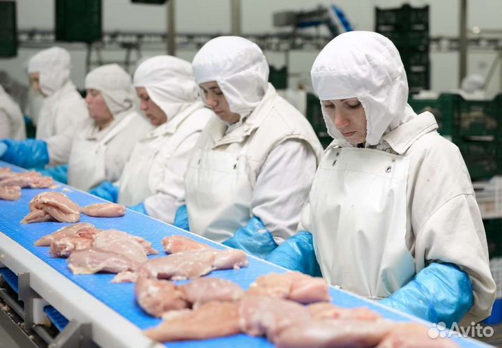 15 смен Вахта в Ростове Фасовщица-Упаковщица/к