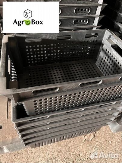 Пластиковые Ящики для Яблок - Новые