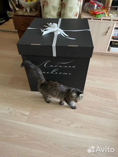 Коробка подарочная