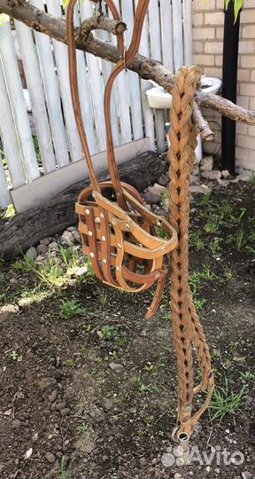 Поводок и намордник кожа