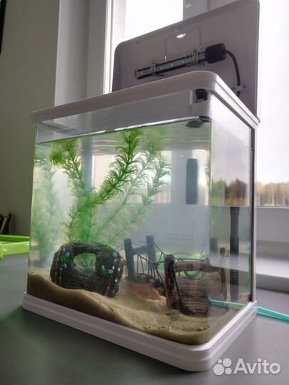 Аквариум