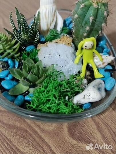 Флорариумы под заказ и в наличии